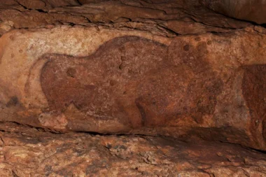 Grotte de Font de Gaume Bison Painting